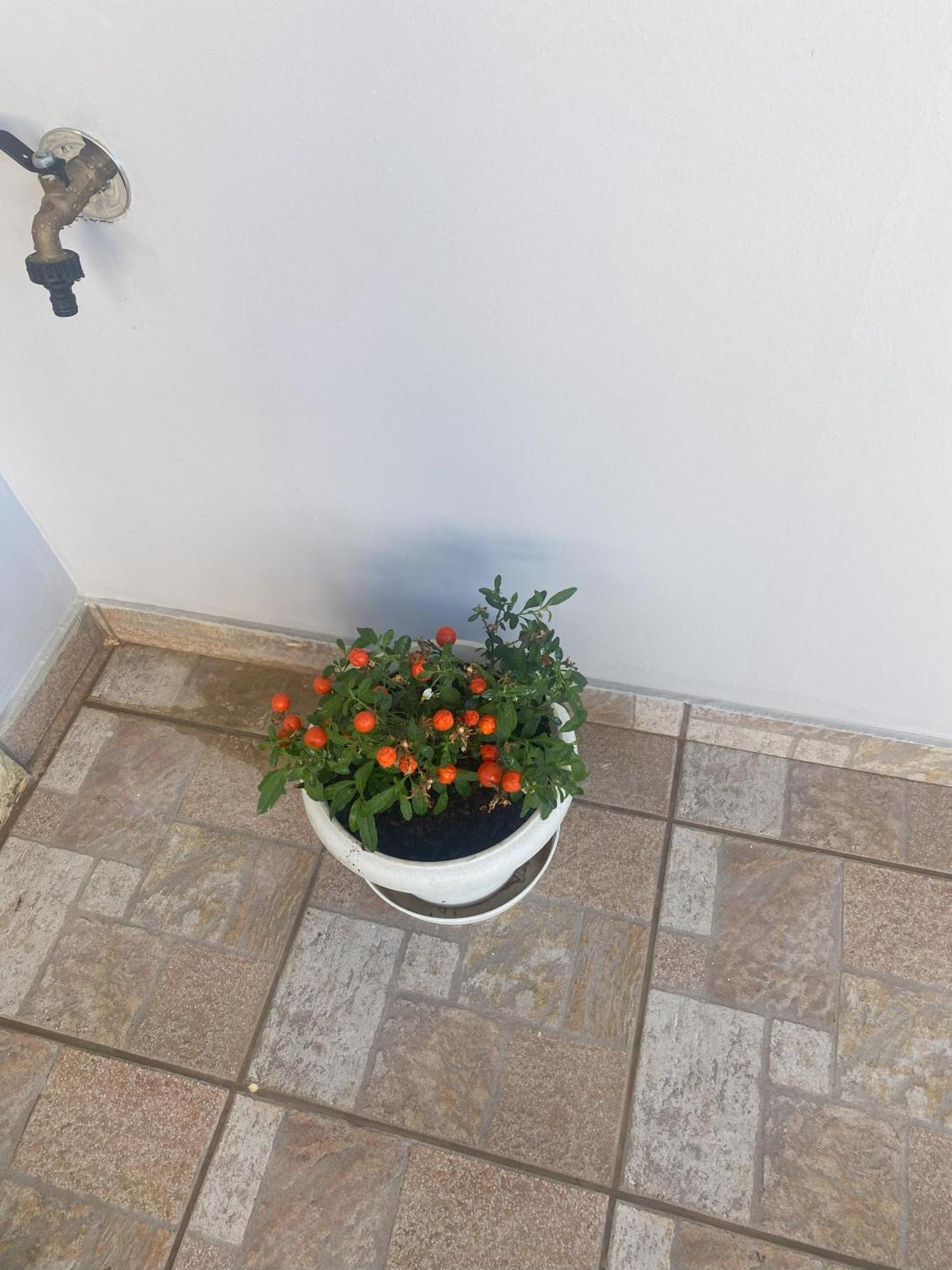 New Unique Apartment In Heraklion Ngoại thất bức ảnh