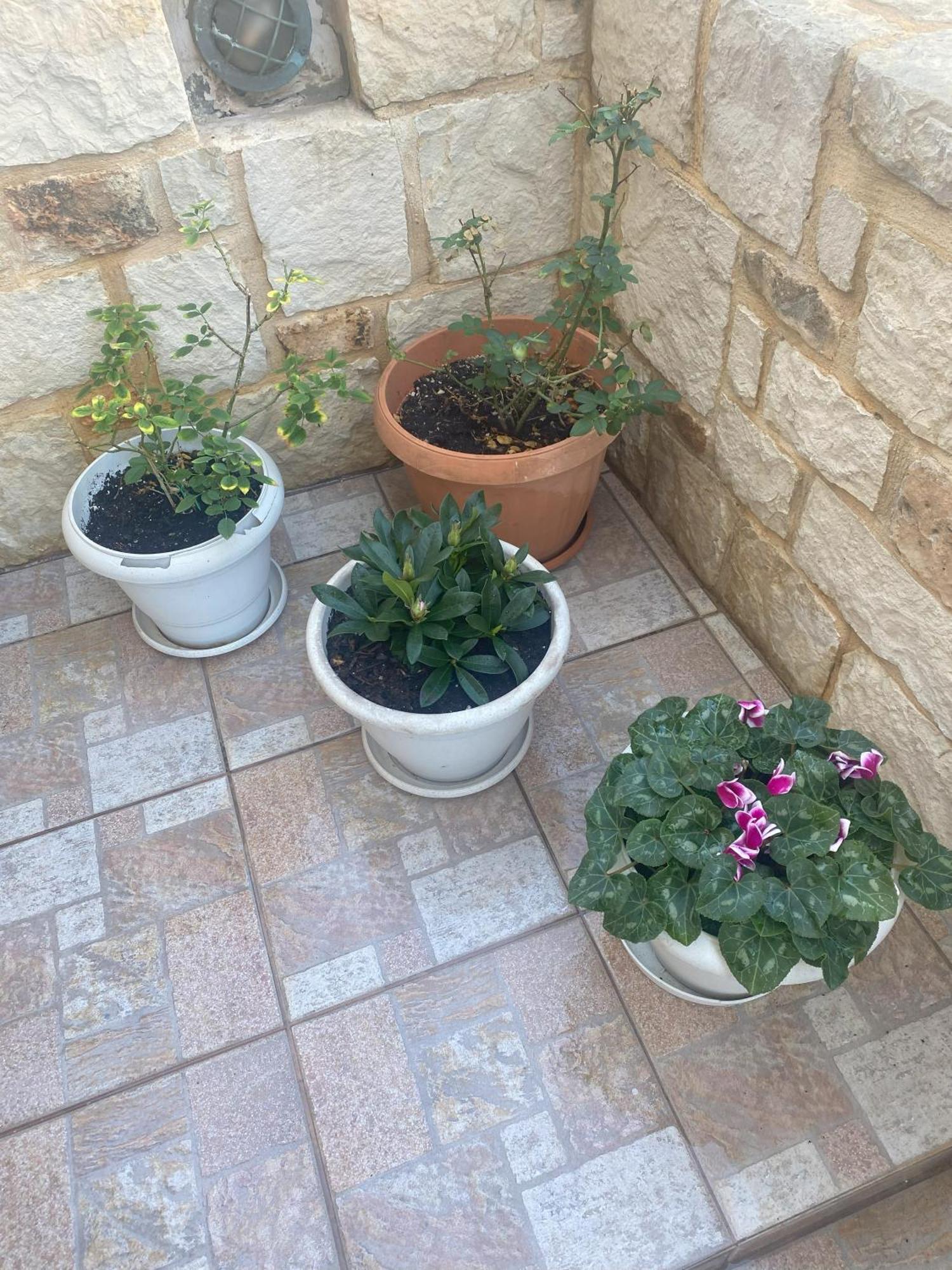 New Unique Apartment In Heraklion Ngoại thất bức ảnh
